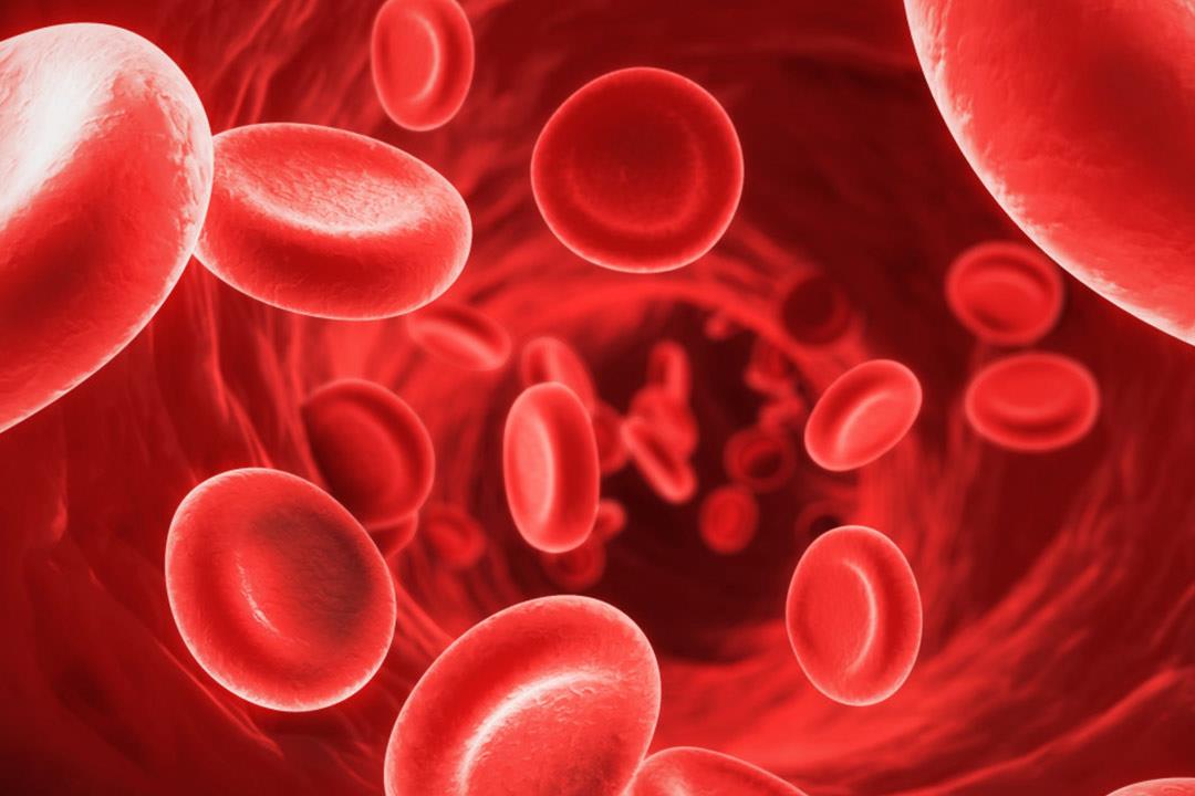 10 طرق مضمونة لزيادة الهيموجلوبين في الدم ومحاربة الأنيميا